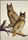John James Audubon Great Horned Owl painting